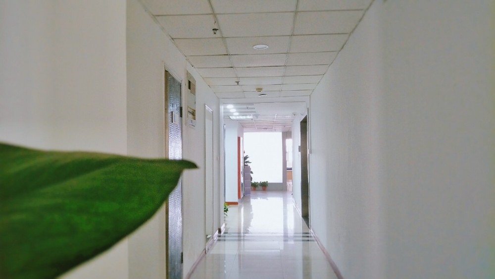 20180424_114640_870.jpg