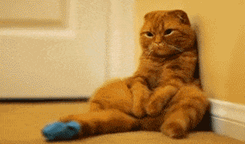 20210623_105828_733.gif 20210623_105828_733.gif