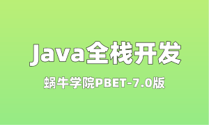 蜗牛学院：PBET-7.0版课程详解之Java全栈开发！