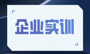 打造网安尖兵！马特里卡联手启明星辰开展实操课程