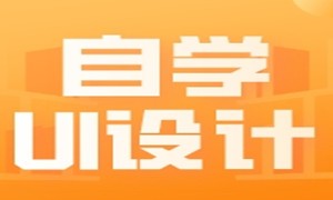 转行IT，但又不想敲代码，这个岗位错过就可惜了~