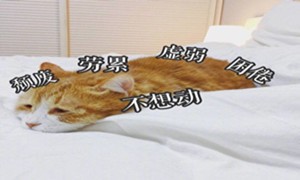 蜗牛学员如何应对“节后综合征”？